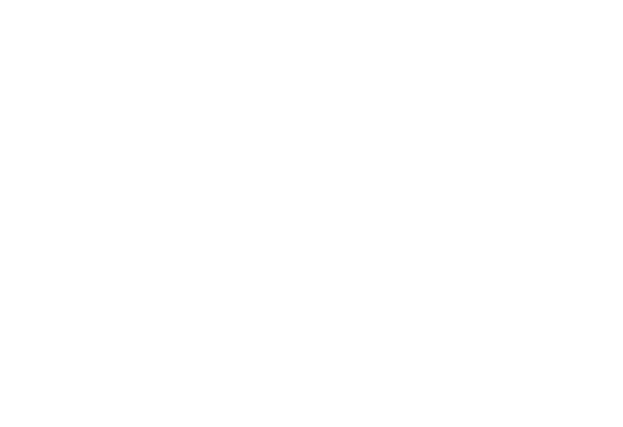 BÄM logo